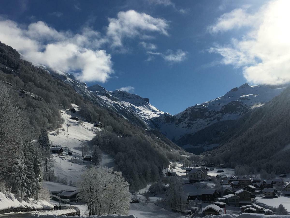 Hotel Alpina Unterschächen Dış mekan fotoğraf
