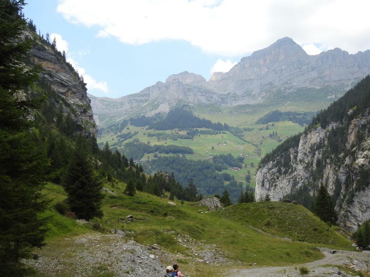 Hotel Alpina Unterschächen Dış mekan fotoğraf